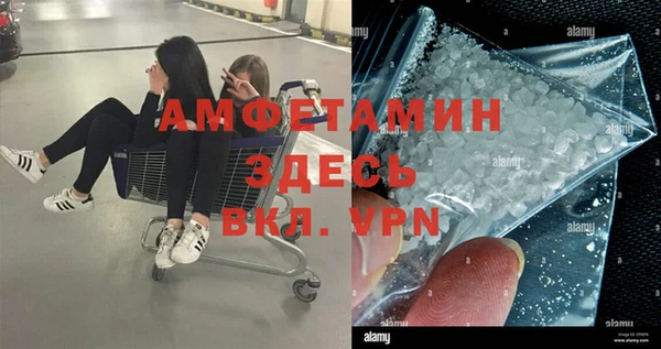 прущие грибы Алексин