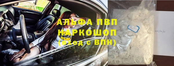 прущие грибы Алексин