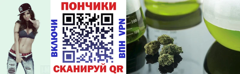 Бошки марихуана план  Бердск 
